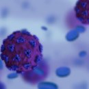 제철초교병설유치원 이미지