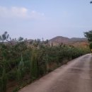 세주농장 이미지