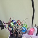 모글리몽 이미지