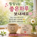 🩷폭풍같은 나날들을 보내고(아들은 말출중)🩷 이미지