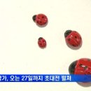 진안-진안-비상-27 이미지