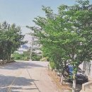 씨유천안운전교차로점 | 초보운전 탈출, 나만의 베스트 드라이버 되기 대작전!