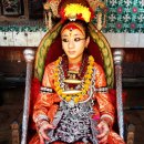 인도네팔 배낭여행기(18)...네팔의 수도 카트만두(3) . 살아있는 여신 쿠마리 이미지
