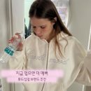 혜성프린팅 | [wishlist] 26S/S 후드집업 모음 zip. (스무드무드 포에토 르베인 호와스 헤이그 토아베)