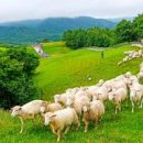 창건목장 이미지