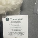 댕토피아 이미지