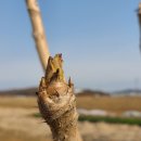 황포농장 이미지