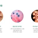 연세조은피부과의원 광명점 이미지