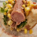 핫도그 애견 이미지