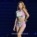 보라드림