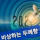 농업회사법인 주식회사 효