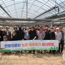 안동의료원 이미지