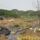 관촌면사무소 이미지