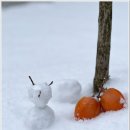 명당(함양점) | 경남 함양 숲속애 캠핑장 눈과 함께 힐링 캠핑 후기