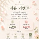 매이정원 | [공지] ✿ REVIEW EVENT ✿ ㆍ명지꽃집.국제신도시꽃집.매이정원