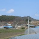 천천면사무소 이미지