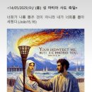 5월14일 [성 마티아 사도 축일] 이미지