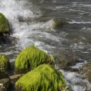 제이스 메디 이미지