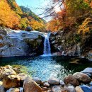 JIRI VALLEY 코리아중앙데일리