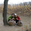 신라파크장 이미지