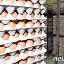 박승주농장 뉴스1