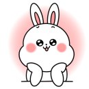 윤애견미용 이미지