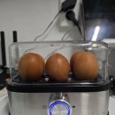 감상마트 | 일렉트로마트 계란찜기 후기 리뷰 감상 평가 비평 비판