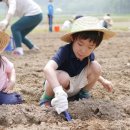 일환농장 이미지