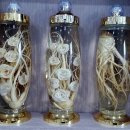 신풍인삼면옥 이미지