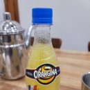 시골정취 | [맛집 탐방기] 한적한 시골 정취 속 보양식, '당너머흑염소' 솔직 후기 (feat. 오랑지나)