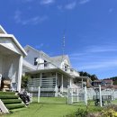 스카이N스파펜션 | 내돈내산 태안 안면도 애견펜션 추천 강아지 개별운동장 있는 스카이엔스파