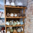 자연의 향기 이미지