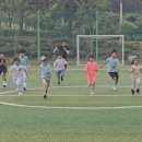 윤빛태권도 이미지