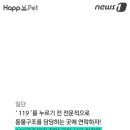 카드119