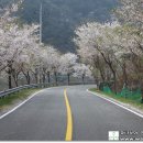 섬진강변 자전거하이킹 이미지