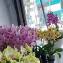 천호대로 213길 이미지