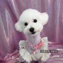 omokjomok(오목조목) 이미지