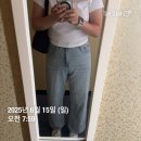 일광회타운 | [6월 혼자 일본여행 10박11일 도쿄,요코하마,나고야 ]- 5일차(도쿄 ->요코하마 )