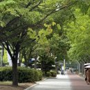 중리동우체국 | 여름을 내게 나눠줘