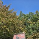 서강의원 | 연극 〈낭만적인 개소리〉 관람 후기