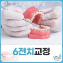 정교한치과의원 이미지
