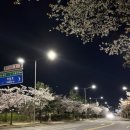 세븐일레븐도봉파크빌점 이미지