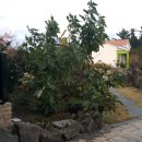 산수재민박 이미지