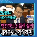 박선원 신들린 질의 이미지