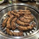욜로게코