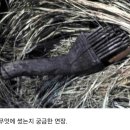 노아의 방주 이미지