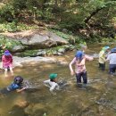 인제17-1 이미지