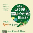 웰니스9 이미지