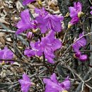 북한산초입 화장실 | [양주 노고산] 새벽 안개를 뚫고 만난 북한산 뷰, 운동화로 가뿐하게 다녀온 산행 후기