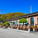 장익는 마을 이미지